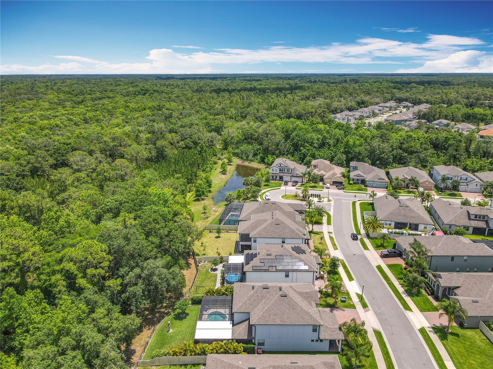 2676 Estuary Loop Oviedo FL 32765 O6395396 image87