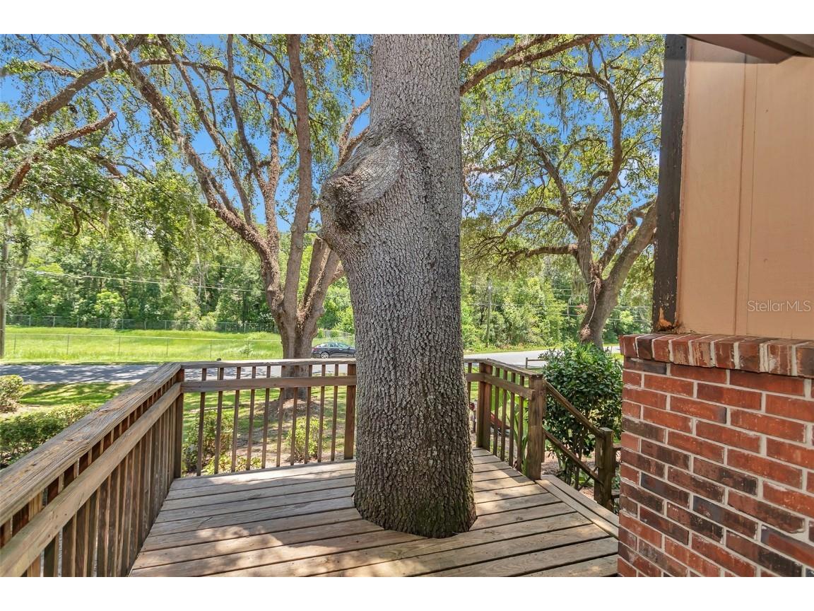 2676 SE 52nd Avenue Ocala FL 34480 OM704489 image9