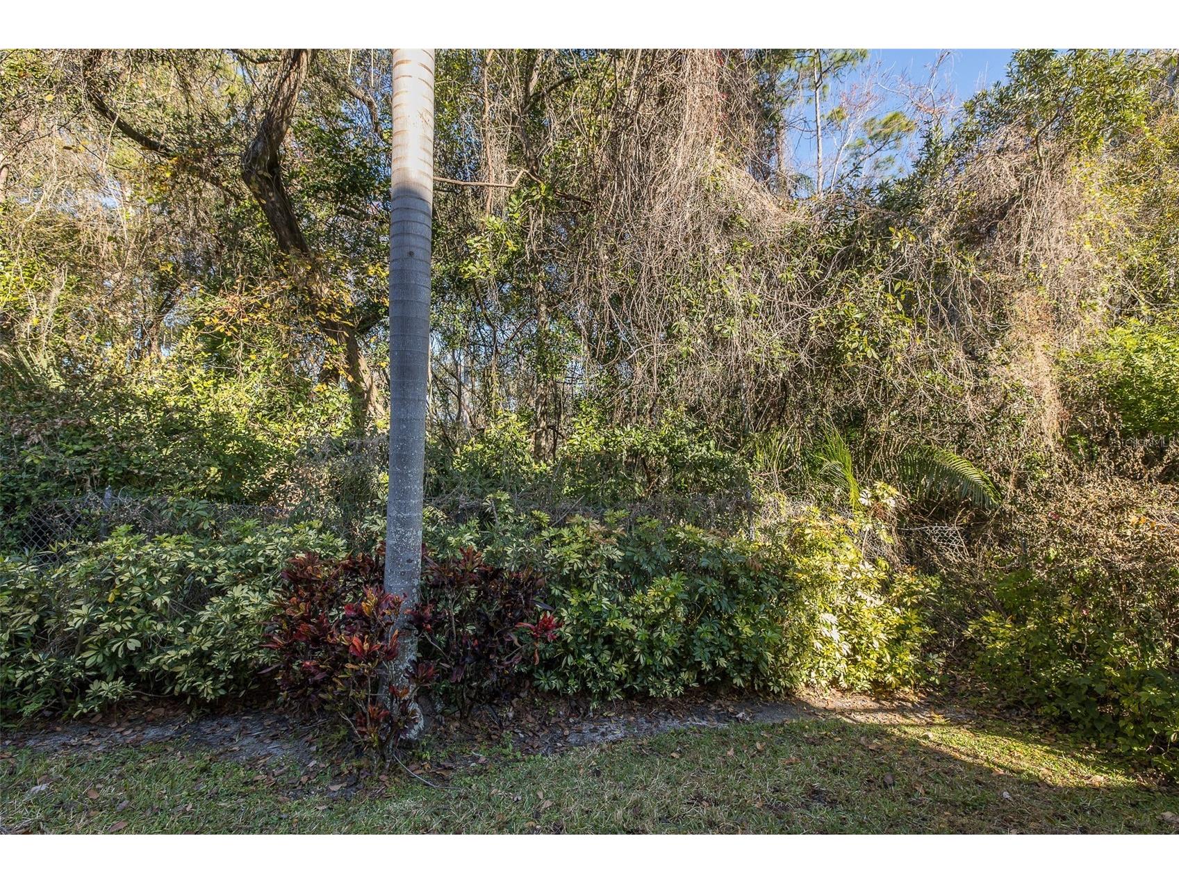 2676 Tanglewood Trail Palm Harbor FL 34685 TB8472353 image10