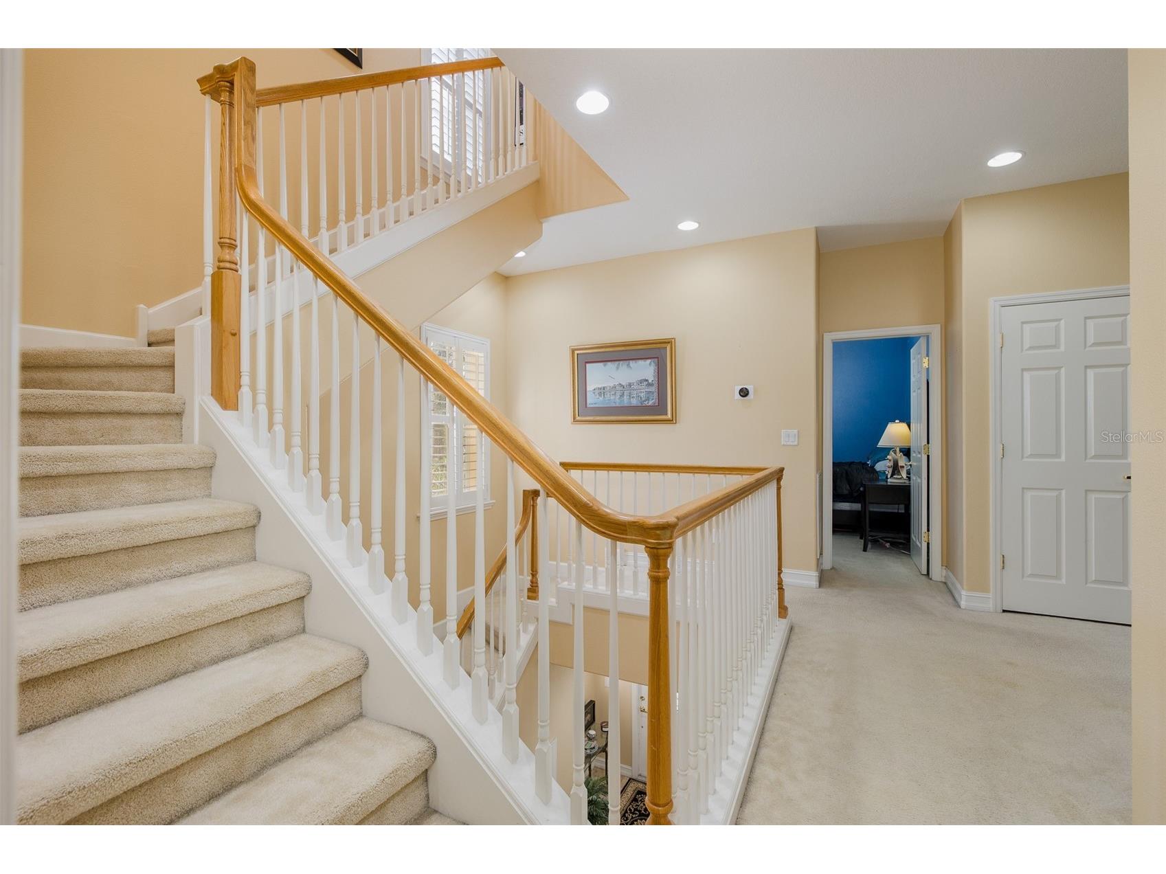 2676 Tanglewood Trail Palm Harbor FL 34685 TB8472353 image30