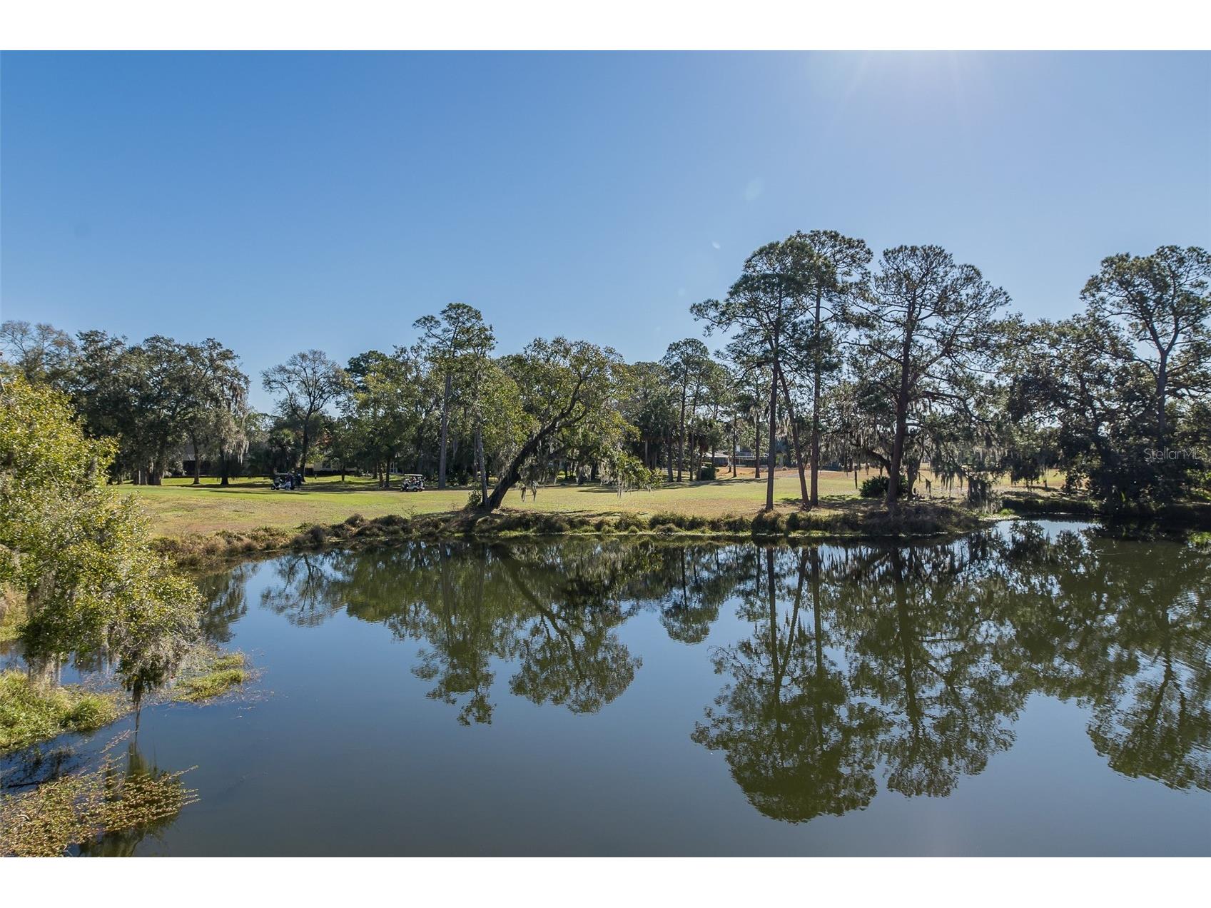 2676 Tanglewood Trail Palm Harbor FL 34685 TB8472353 image4