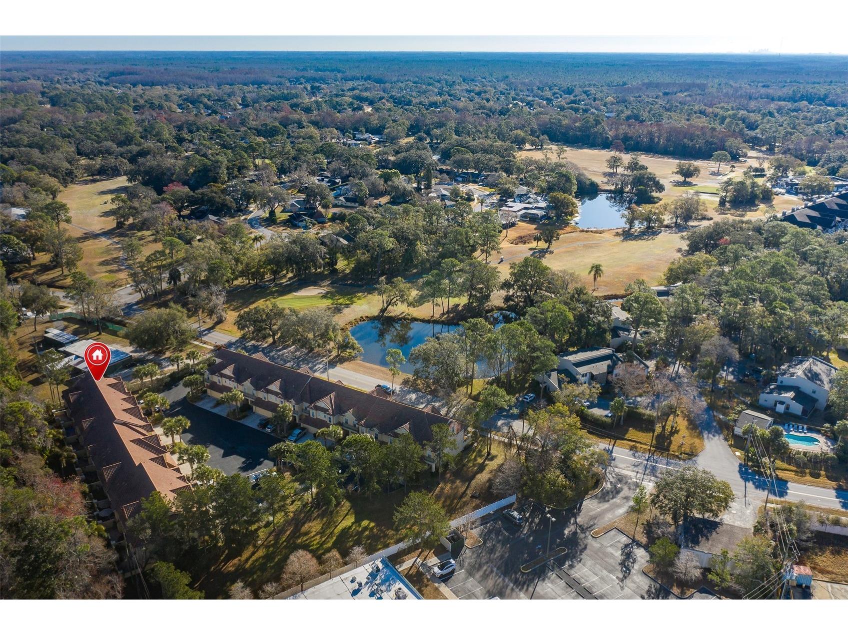 2676 Tanglewood Trail Palm Harbor FL 34685 TB8472353 image5