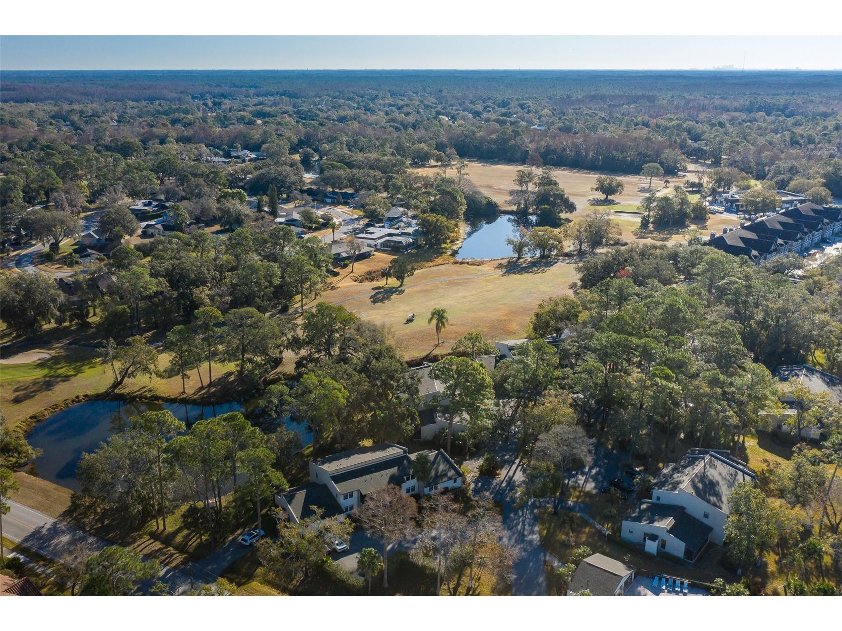 2676 Tanglewood Trail Palm Harbor FL 34685 TB8472353 image6