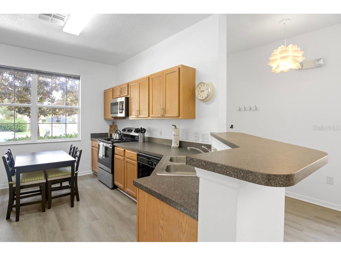 2677 Andros Lane Kissimmee FL 34747 O6363092 image13