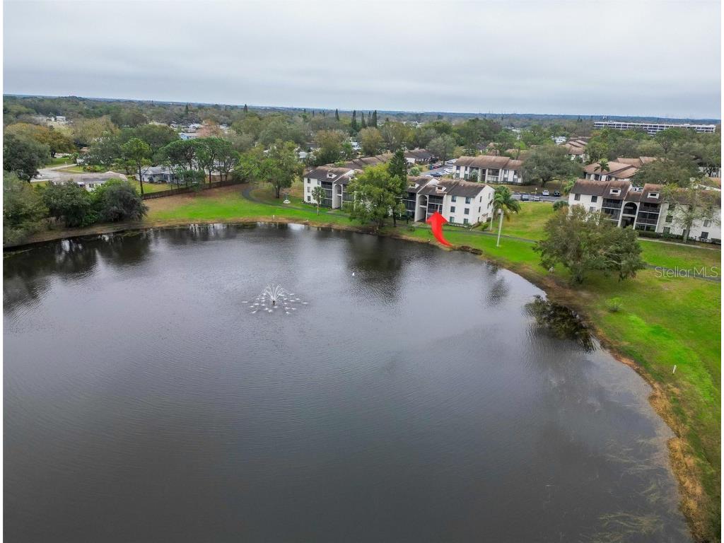 2677 Pine Ridge Way N #B2 Palm Harbor FL 34684 TB8342283 image1