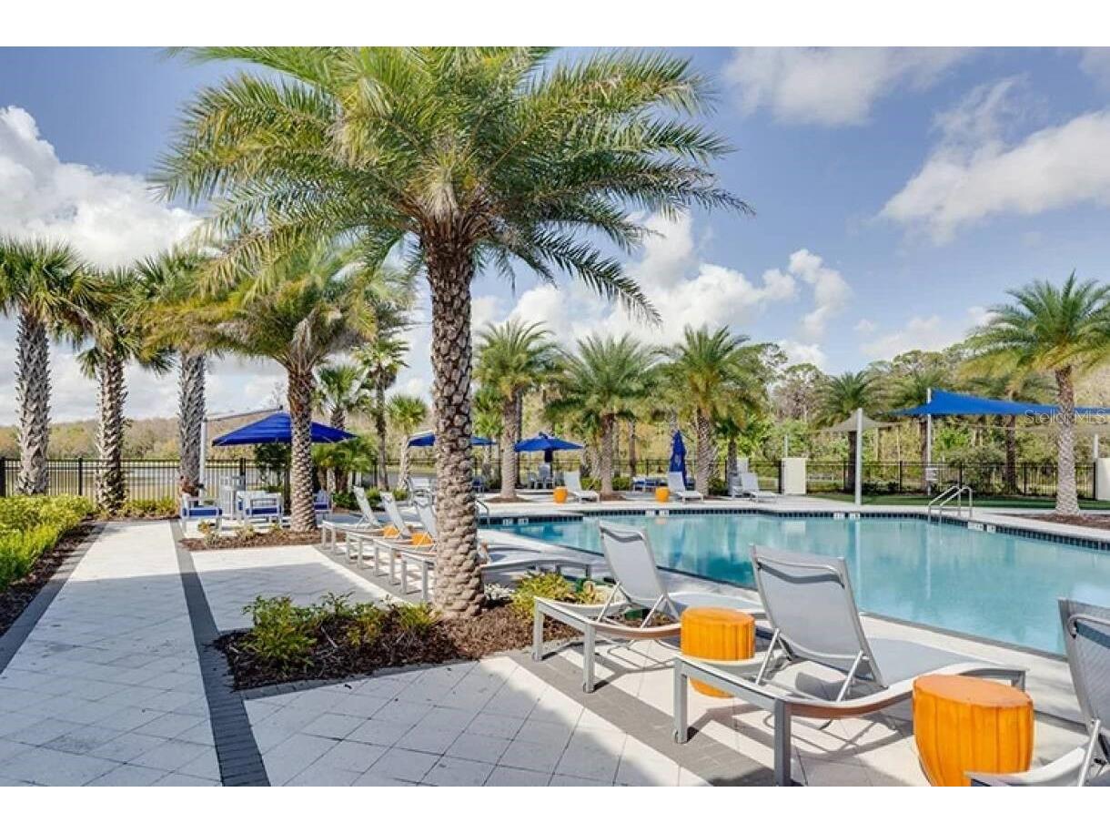 2678 Calistoga Avenue Kissimmee FL 34741 O6405139 image43