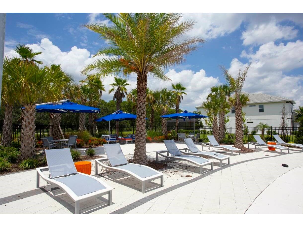 2678 Calistoga Avenue Kissimmee FL 34741 O6405139 image49