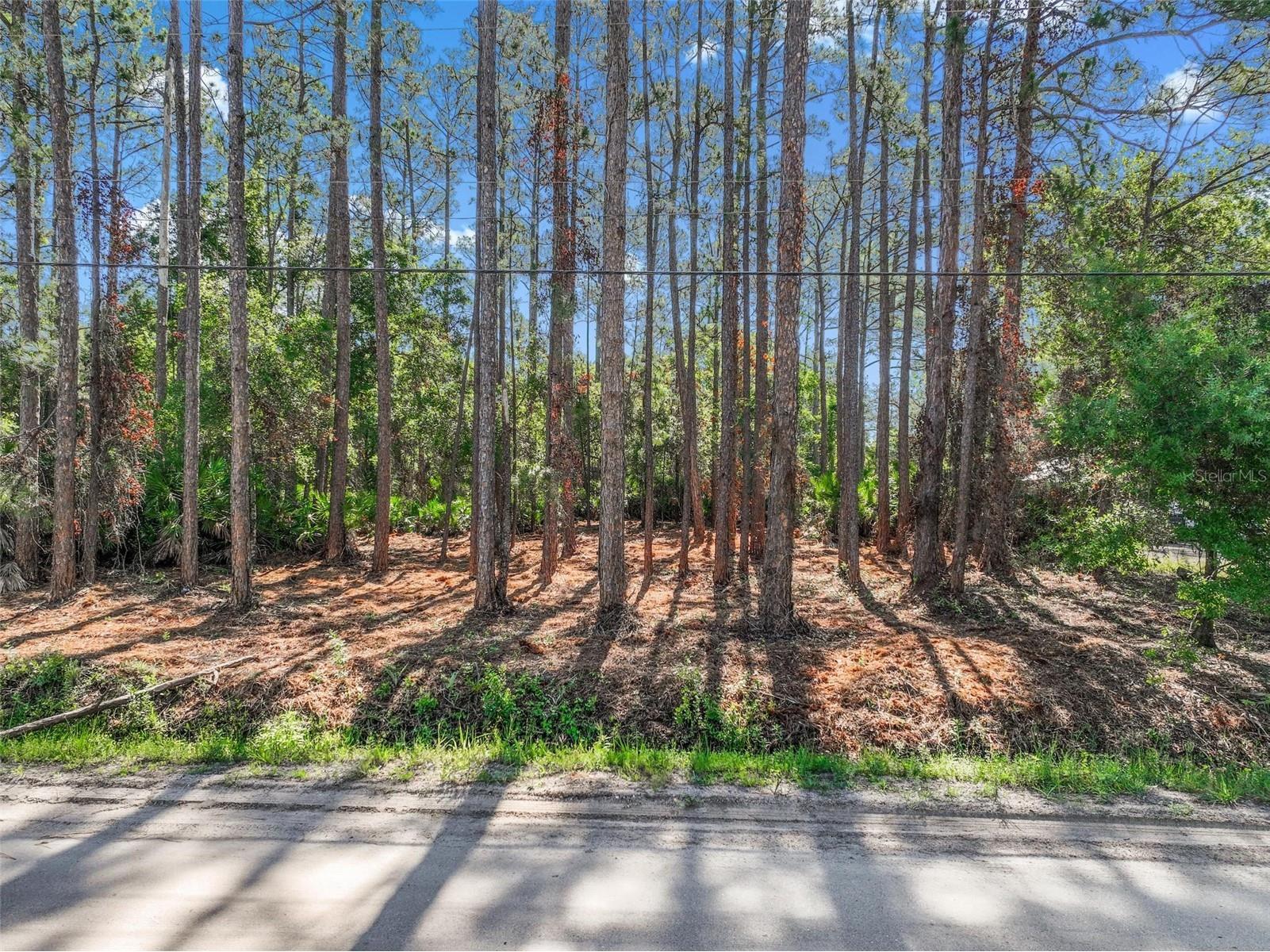 2679 Forest Park Street Bunnell FL 32110 O6412122 image1