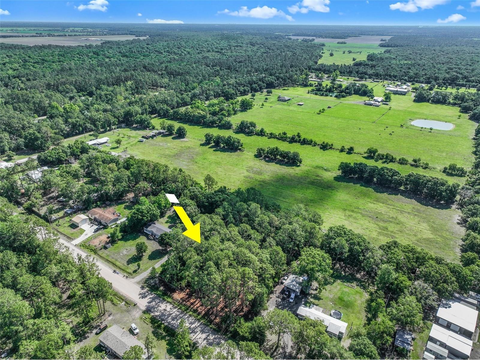 2679 Forest Park Street Bunnell FL 32110 O6412122 image2