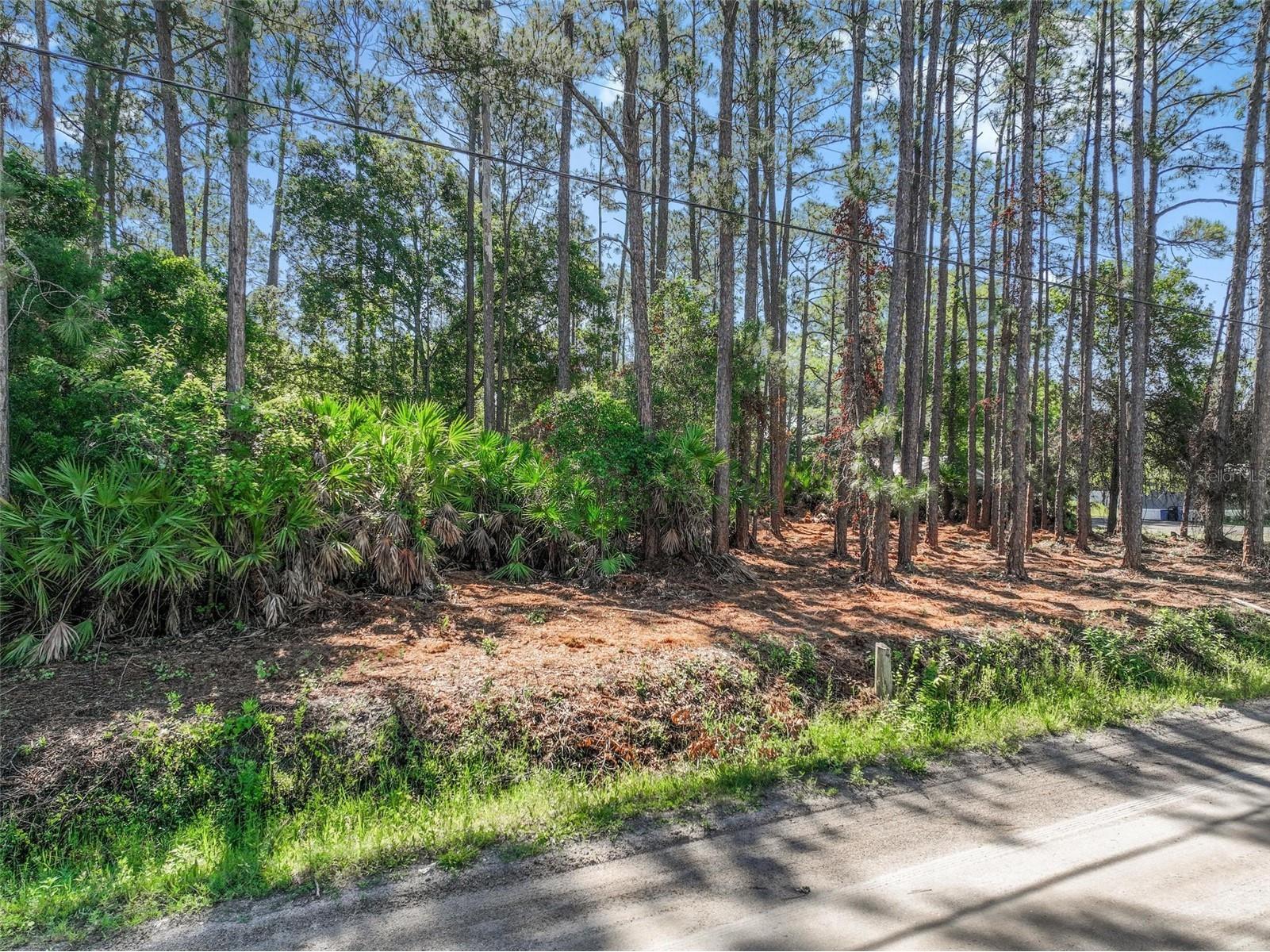 2679 Forest Park Street Bunnell FL 32110 O6412122 image3