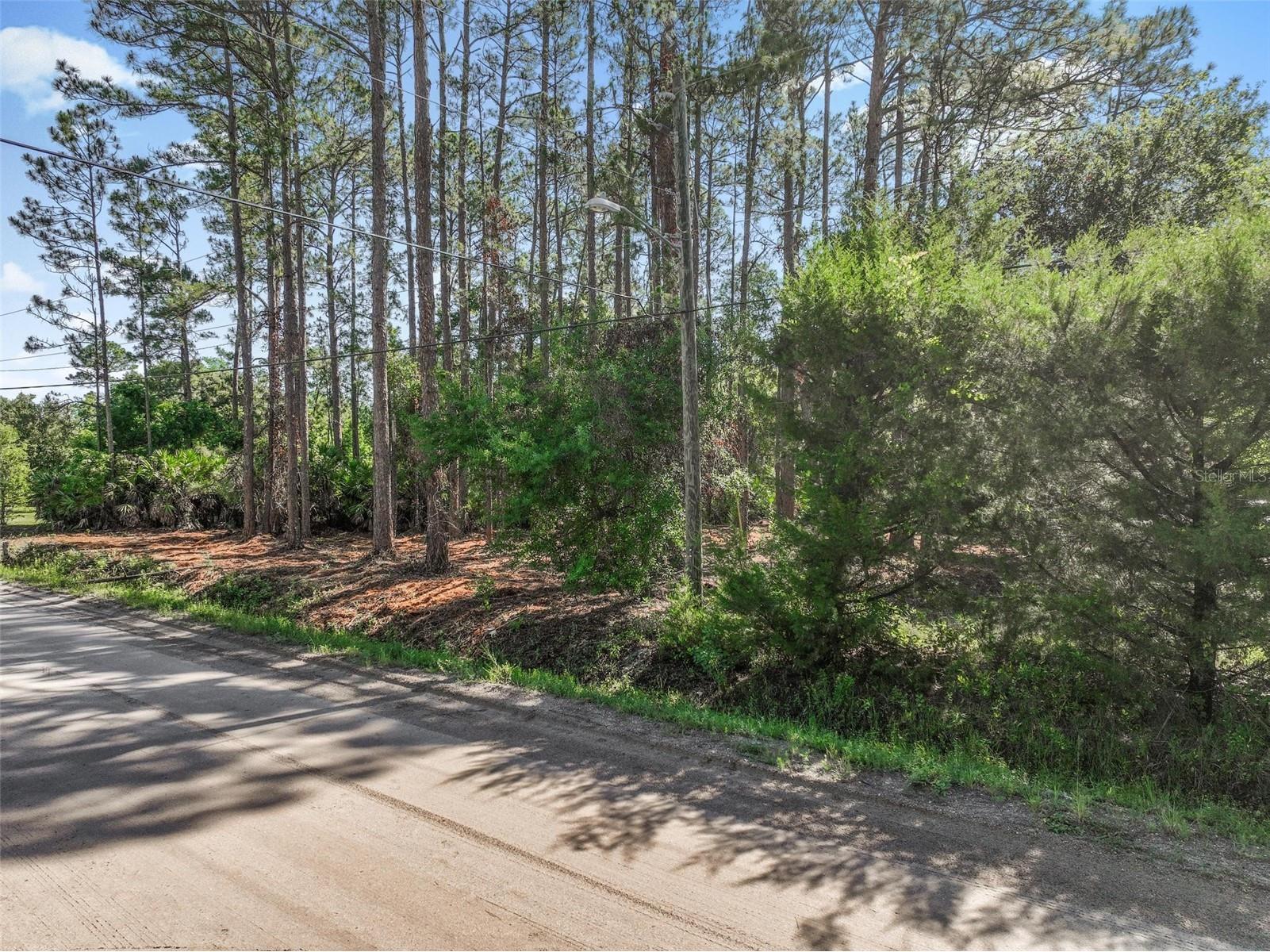 2679 Forest Park Street Bunnell FL 32110 O6412122 image4