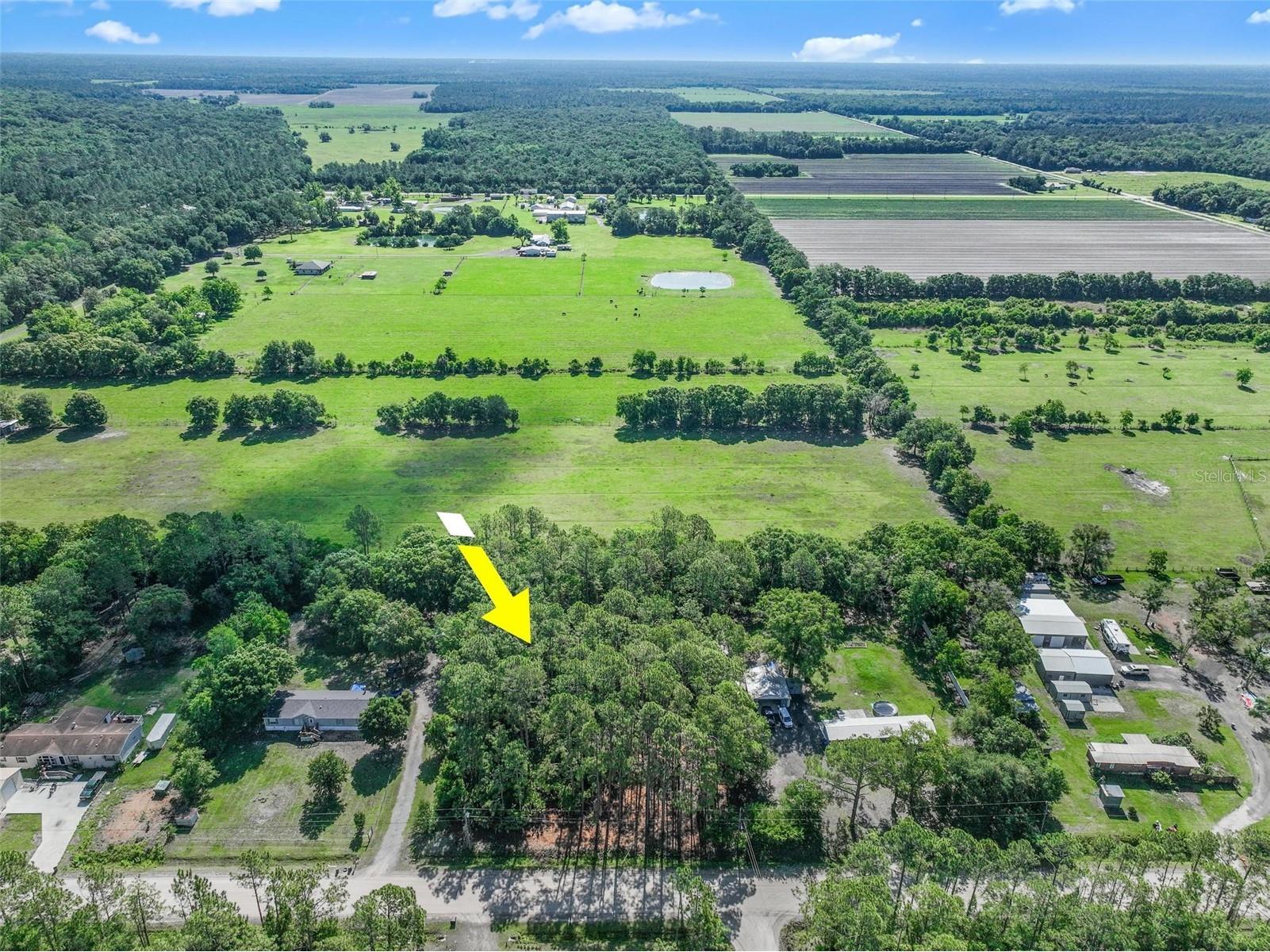2679 Forest Park Street Bunnell FL 32110 O6412122 image5