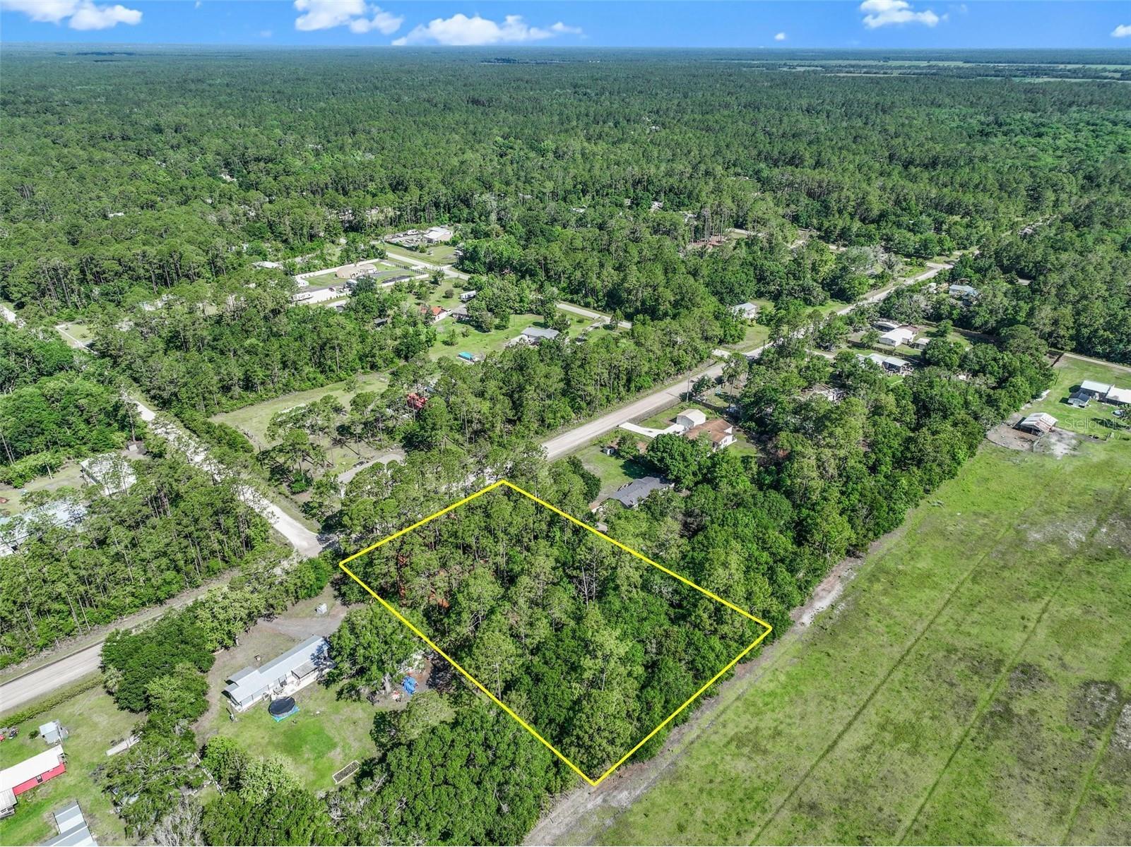 2679 Forest Park Street Bunnell FL 32110 O6412122 image6