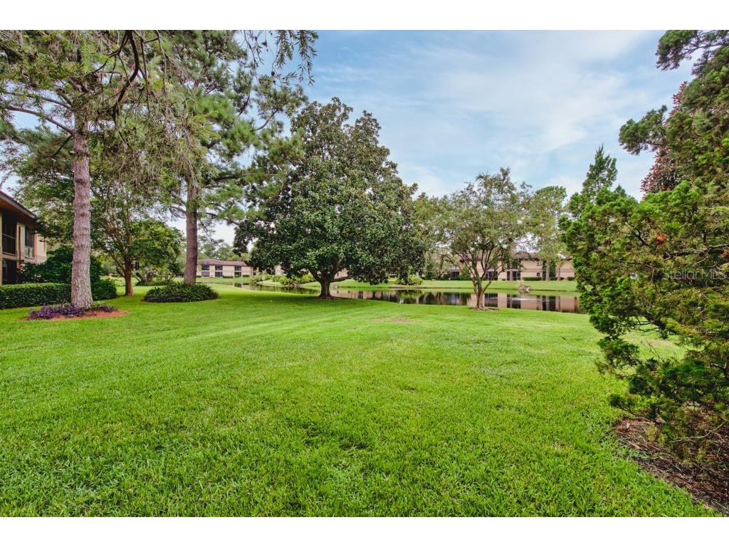 2679 Sabal Springs Circle #102 Clearwater FL 33761 TB8427004 image26