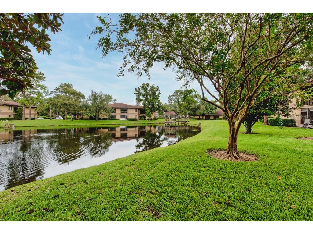 2679 Sabal Springs Circle #102 Clearwater FL 33761 TB8427004 image27