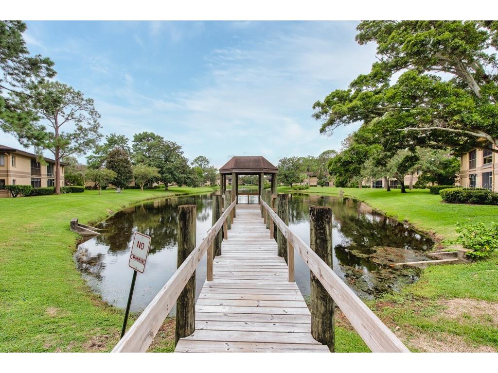 2679 Sabal Springs Circle #102 Clearwater FL 33761 TB8427004 image29