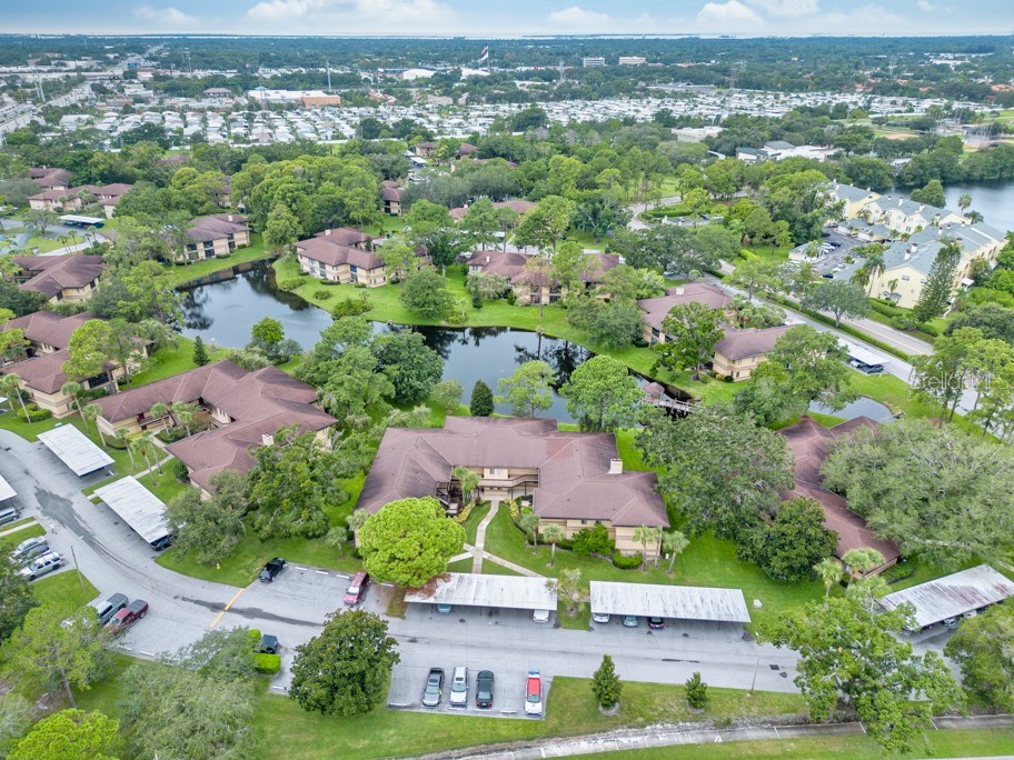 2679 Sabal Springs Circle #102 Clearwater FL 33761 TB8427004 image34