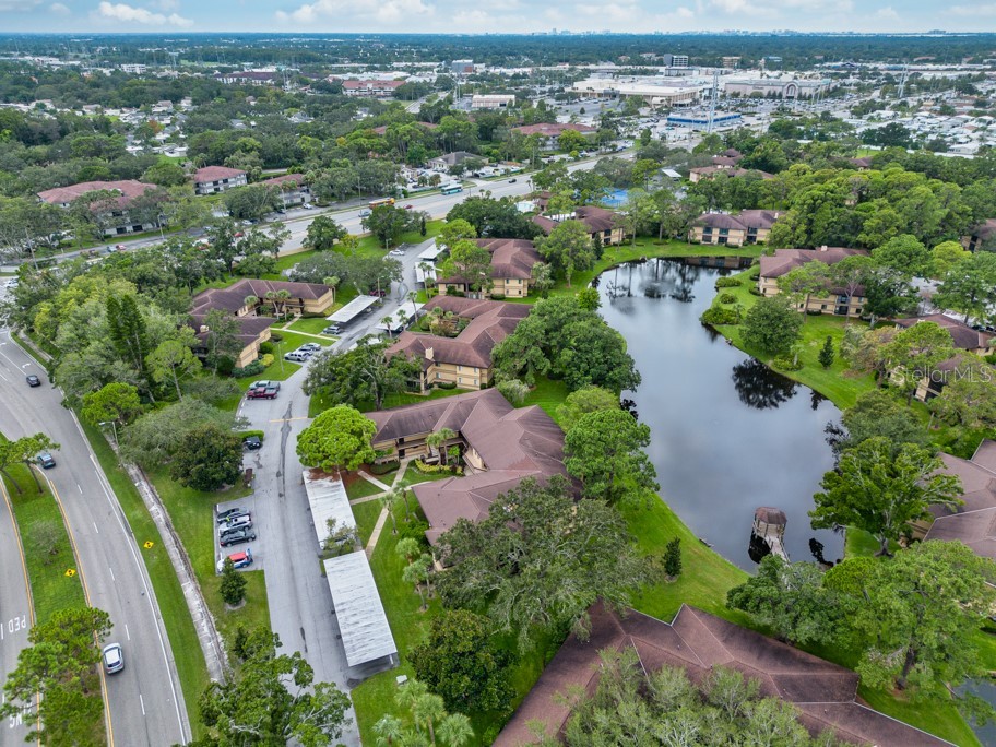 2679 Sabal Springs Circle #102 Clearwater FL 33761 TB8427004 image35