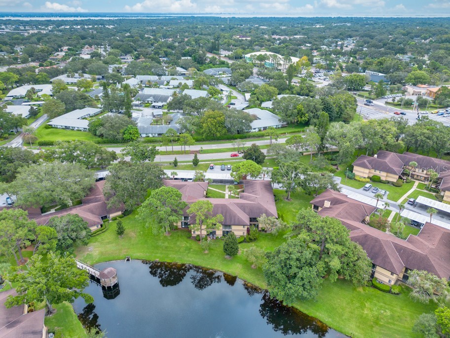 2679 Sabal Springs Circle #102 Clearwater FL 33761 TB8427004 image36