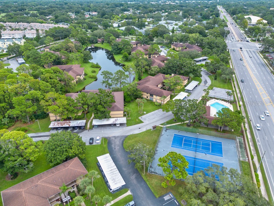 2679 Sabal Springs Circle #102 Clearwater FL 33761 TB8427004 image38