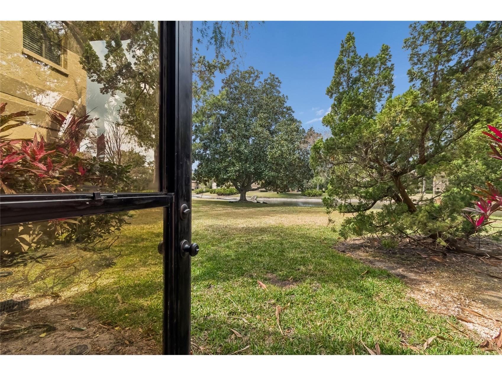 2679 Sabal Springs Circle #102 Clearwater FL 33761 TB8477189 image22