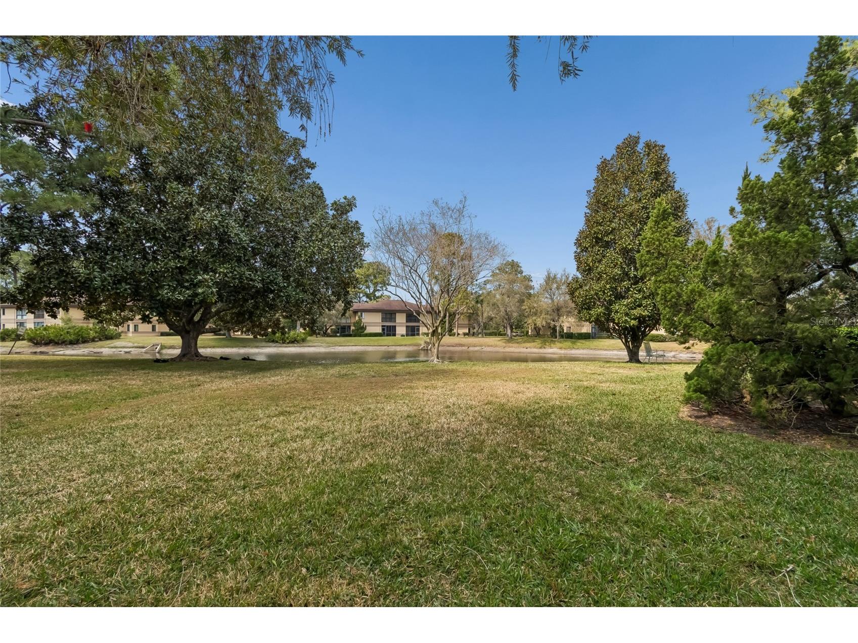 2679 Sabal Springs Circle #102 Clearwater FL 33761 TB8477189 image24