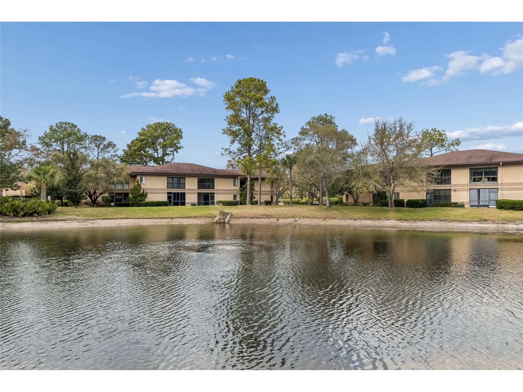 2679 Sabal Springs Circle #102 Clearwater FL 33761 TB8477189 image25