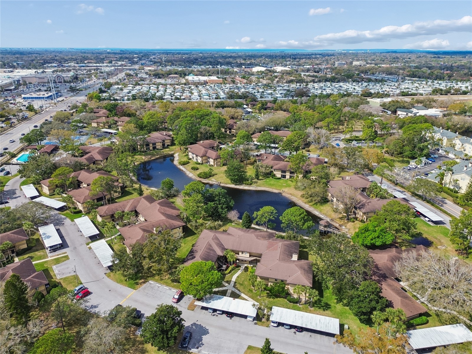 2679 Sabal Springs Circle #102 Clearwater FL 33761 TB8477189 image27