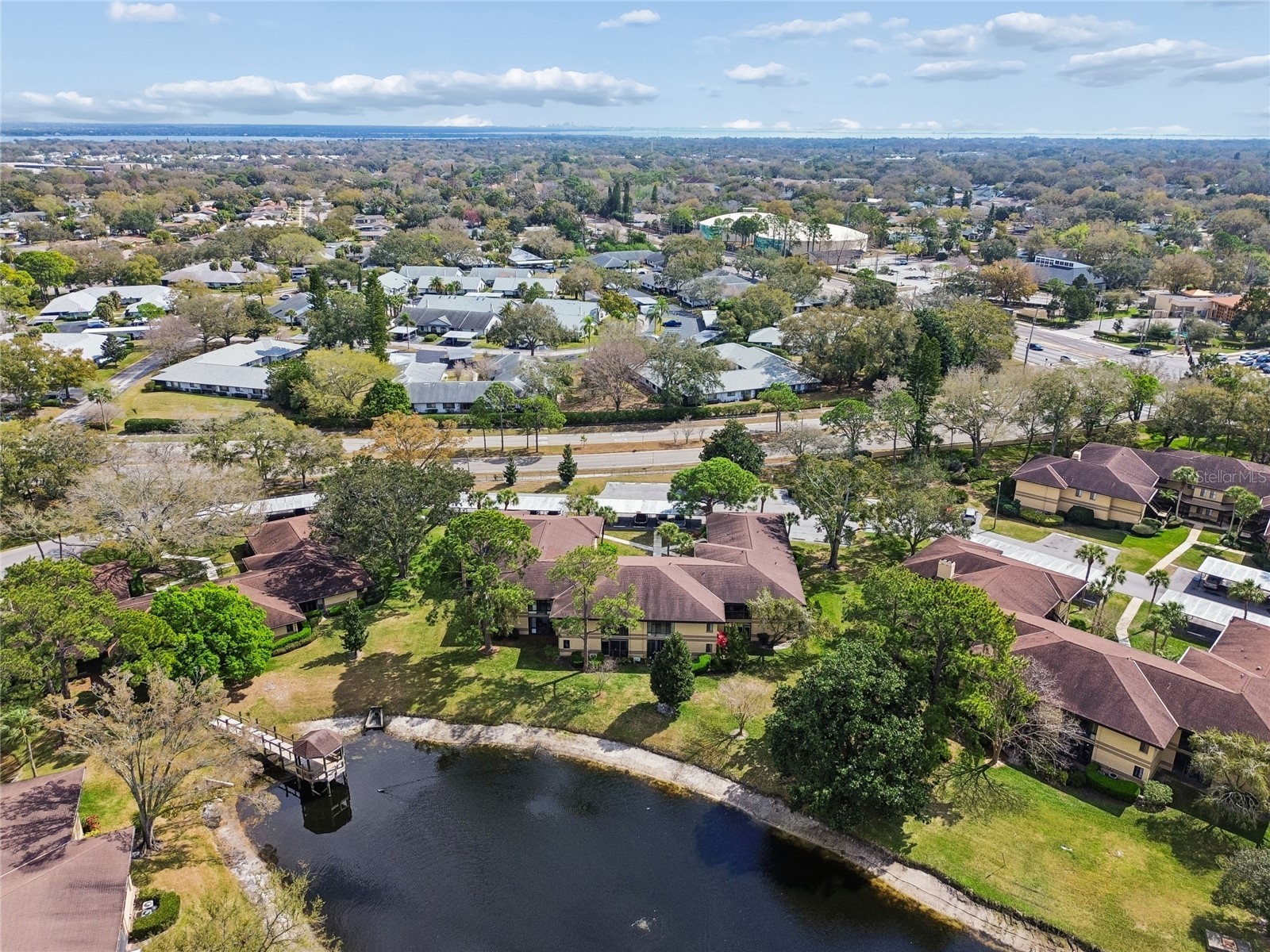 2679 Sabal Springs Circle #102 Clearwater FL 33761 TB8477189 image29