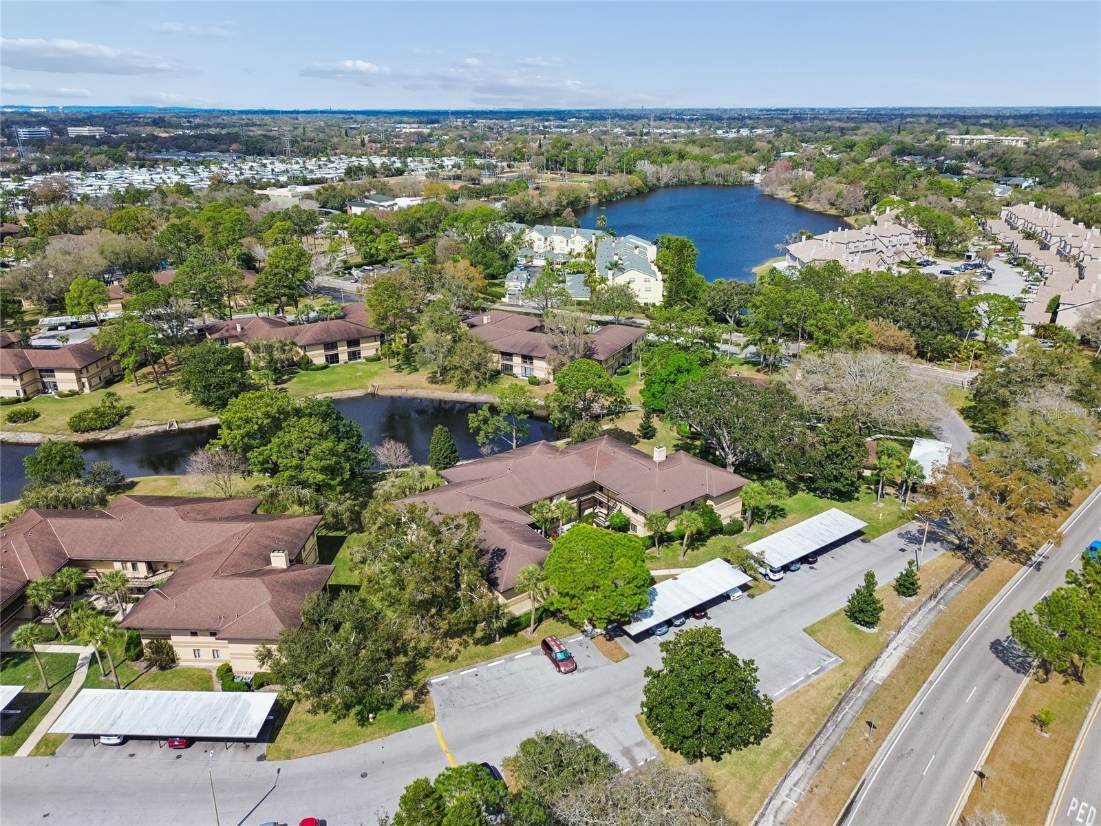 2679 Sabal Springs Circle #102 Clearwater FL 33761 TB8477189 image30