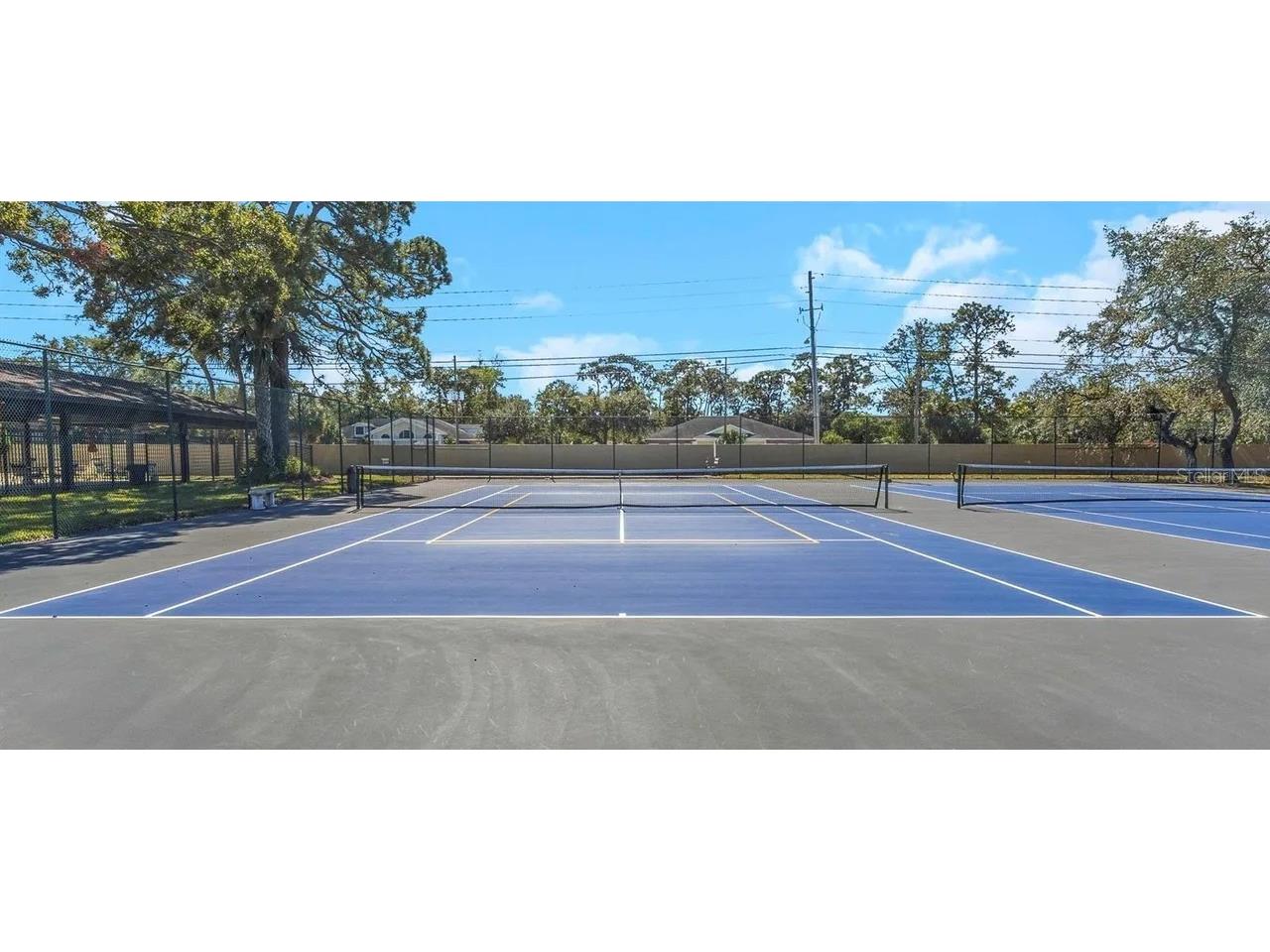 2679 Sabal Springs Circle #102 Clearwater FL 33761 TB8477189 image40