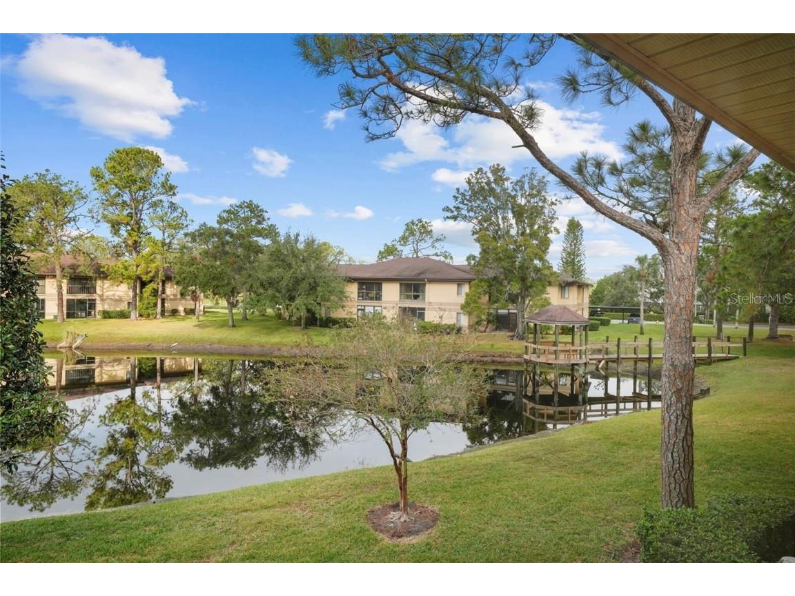 2679 Sabal Springs Circle #203 Clearwater FL 33761 TB8423852 image2