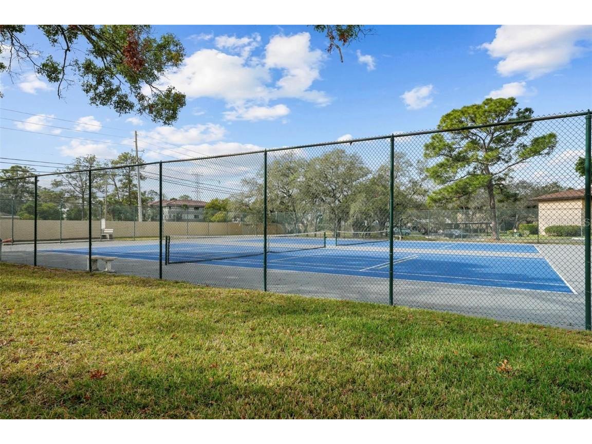 2679 Sabal Springs Circle #203 Clearwater FL 33761 TB8423852 image24