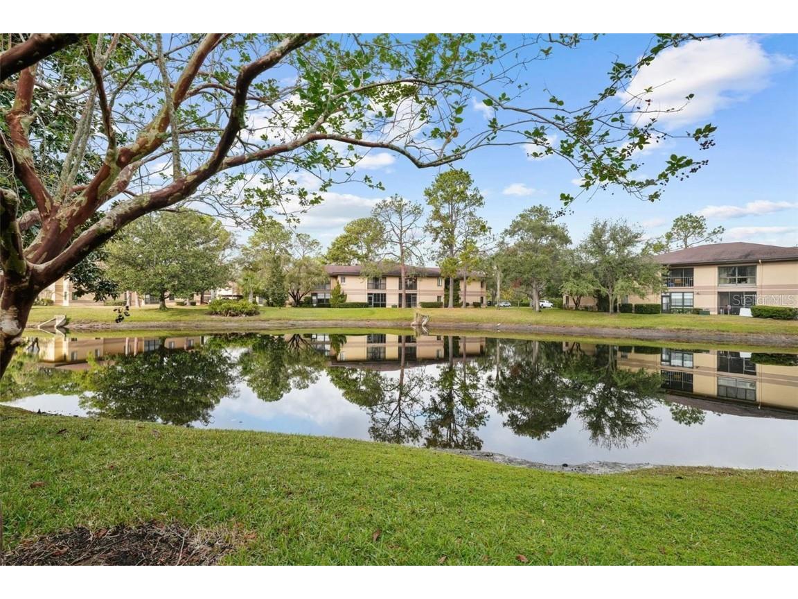 2679 Sabal Springs Circle #203 Clearwater FL 33761 TB8423852 image25