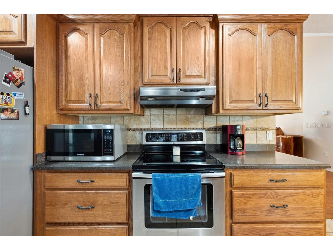 2679 SE 35th Street Sumterville FL 33585 G5096322 image18