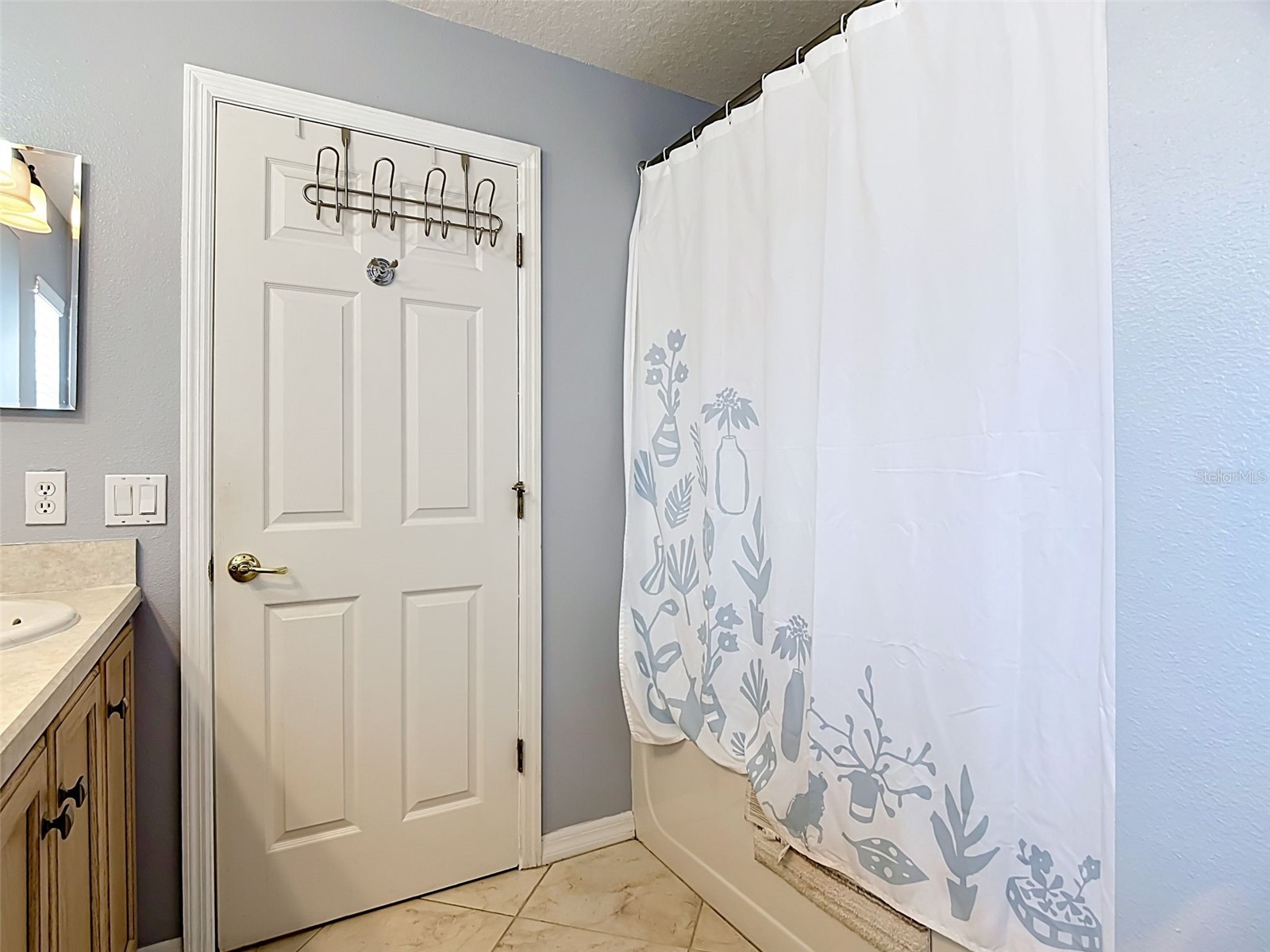 268 Acadia Drive Kissimmee FL 34759 O6405631 image21