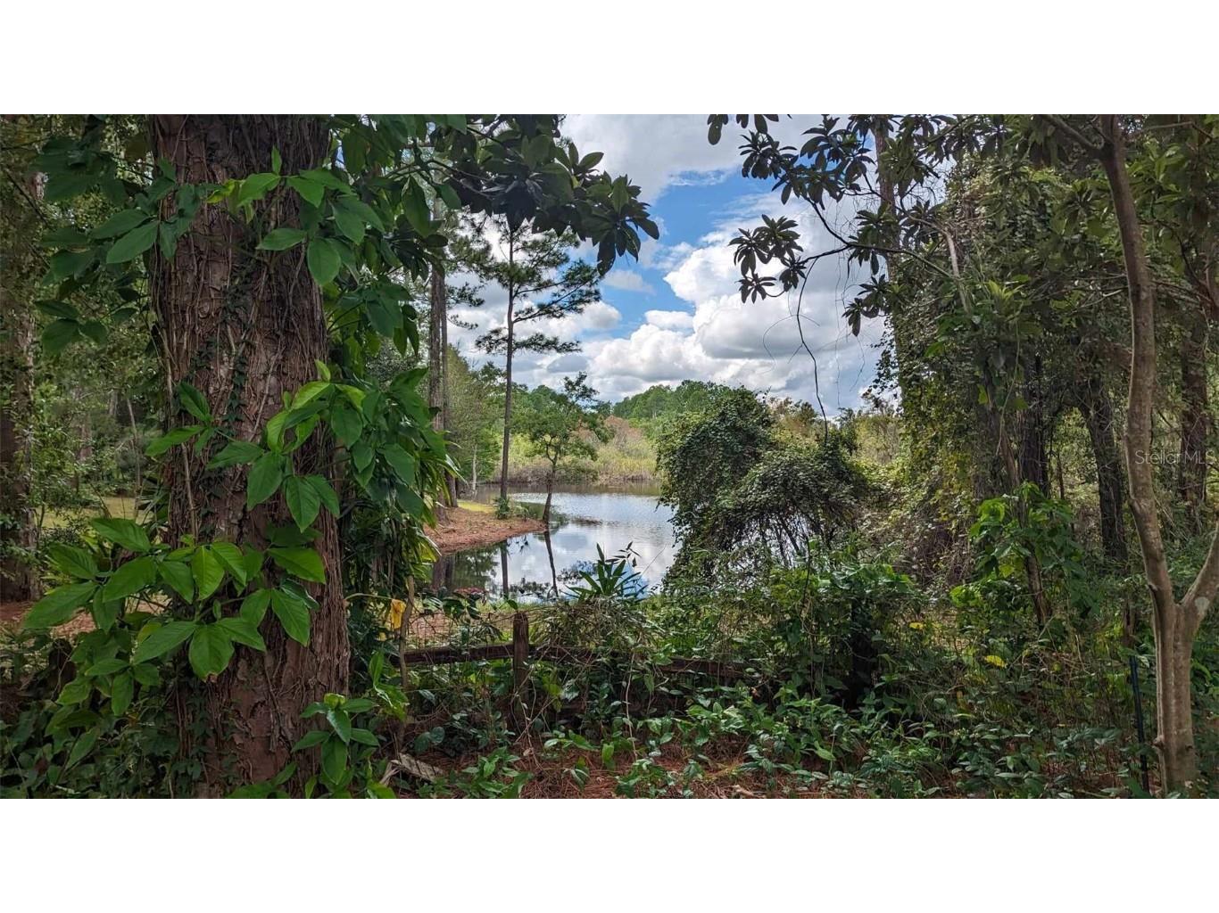 268 Almyra Drive Lake Mary FL 32746 S5106212 image4