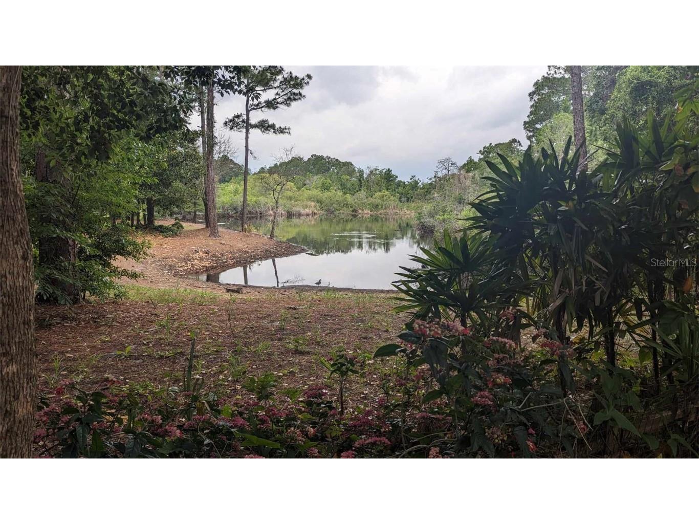 268 Almyra Drive Lake Mary FL 32746 S5106212 image5