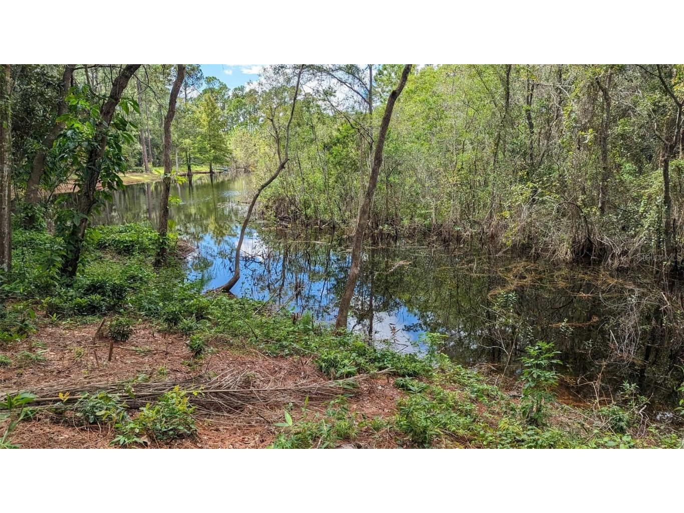 268 Almyra Drive Lake Mary FL 32746 S5106212 image6