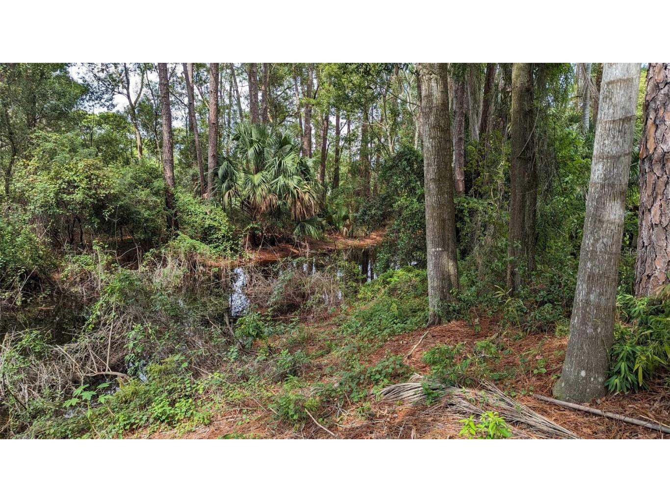 268 Almyra Drive Lake Mary FL 32746 S5106212 image7