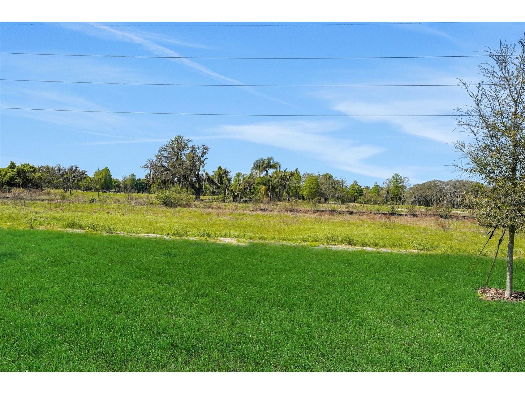 268 Meredith Boulevard Winter Haven FL 33881 G5109922 image5