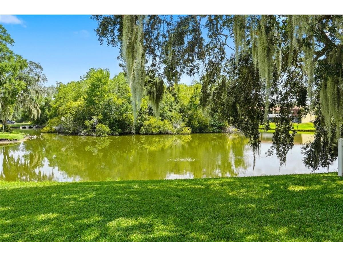 268 Oak Landing Lane Mulberry FL 33860 W7887700 image53
