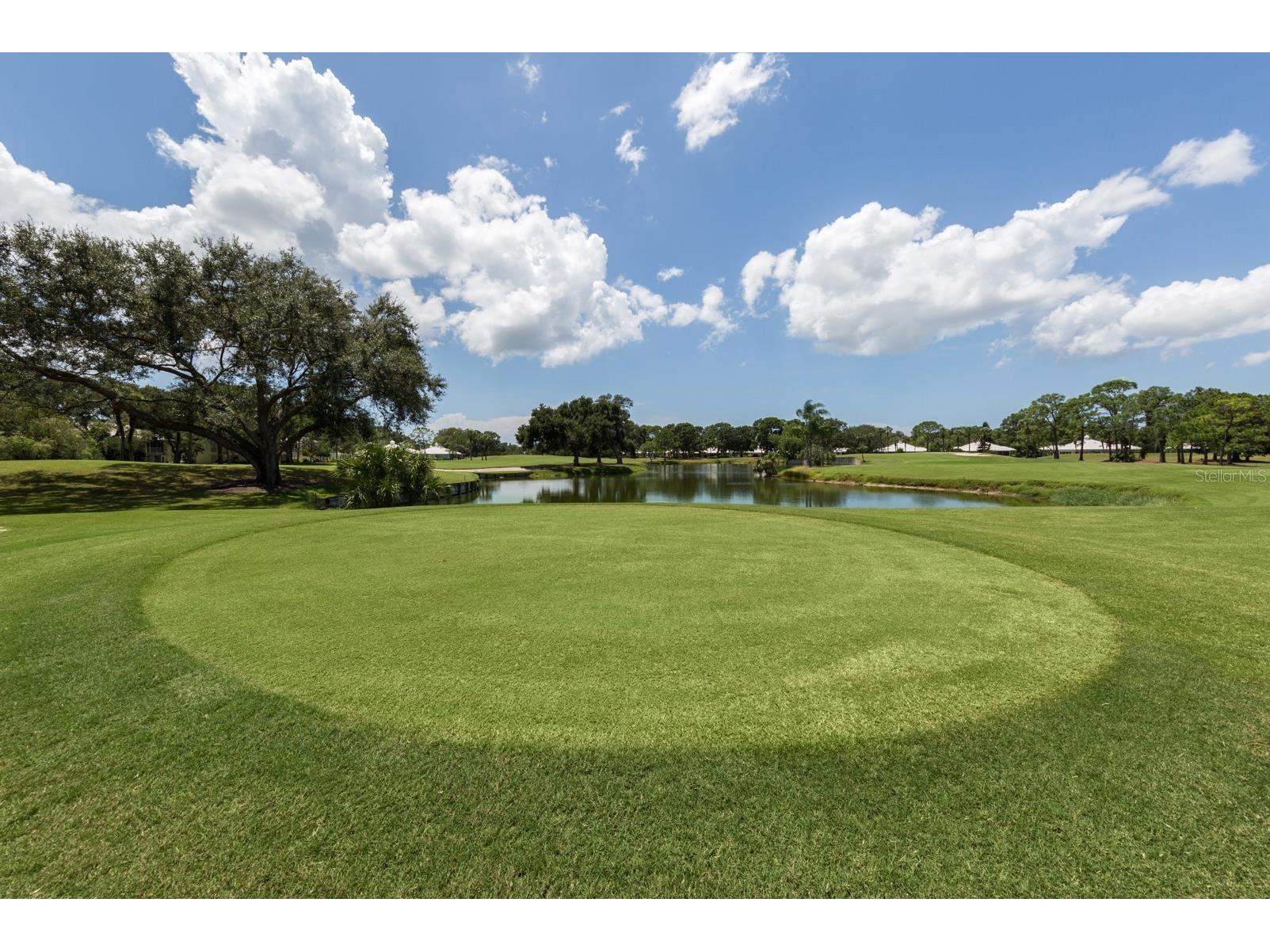 268 Southampton Drive #309 Venice FL 34293 N6142166 image37
