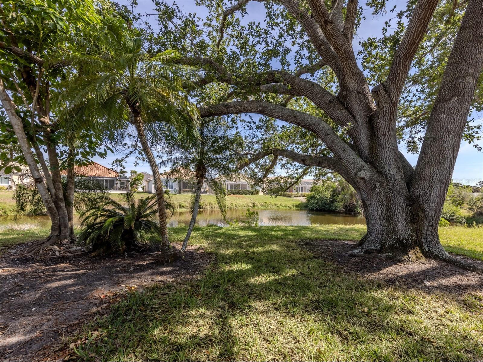 268 Southampton Drive #309 Venice FL 34293 N6142166 image5