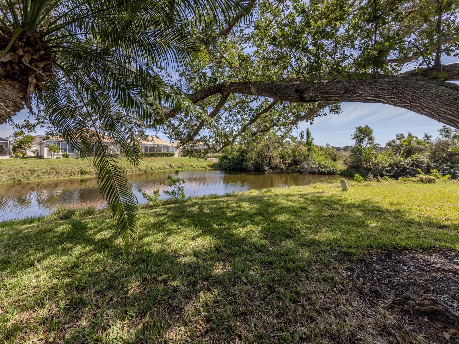 268 Southampton Drive #309 Venice FL 34293 N6142166 image6