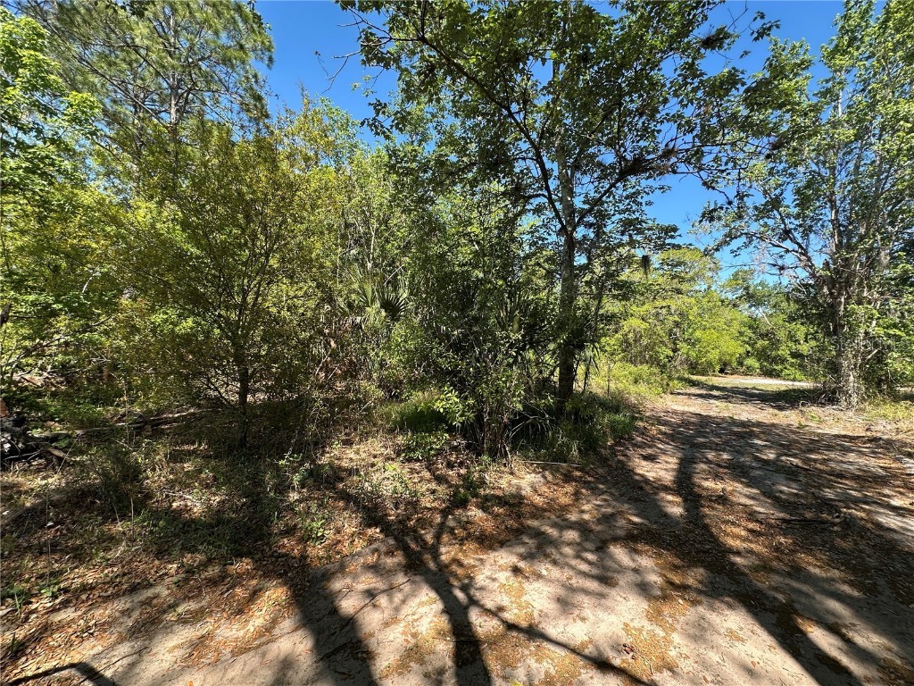 268 Spoonbill Drive Kissimmee FL 34759 S5122924 image1