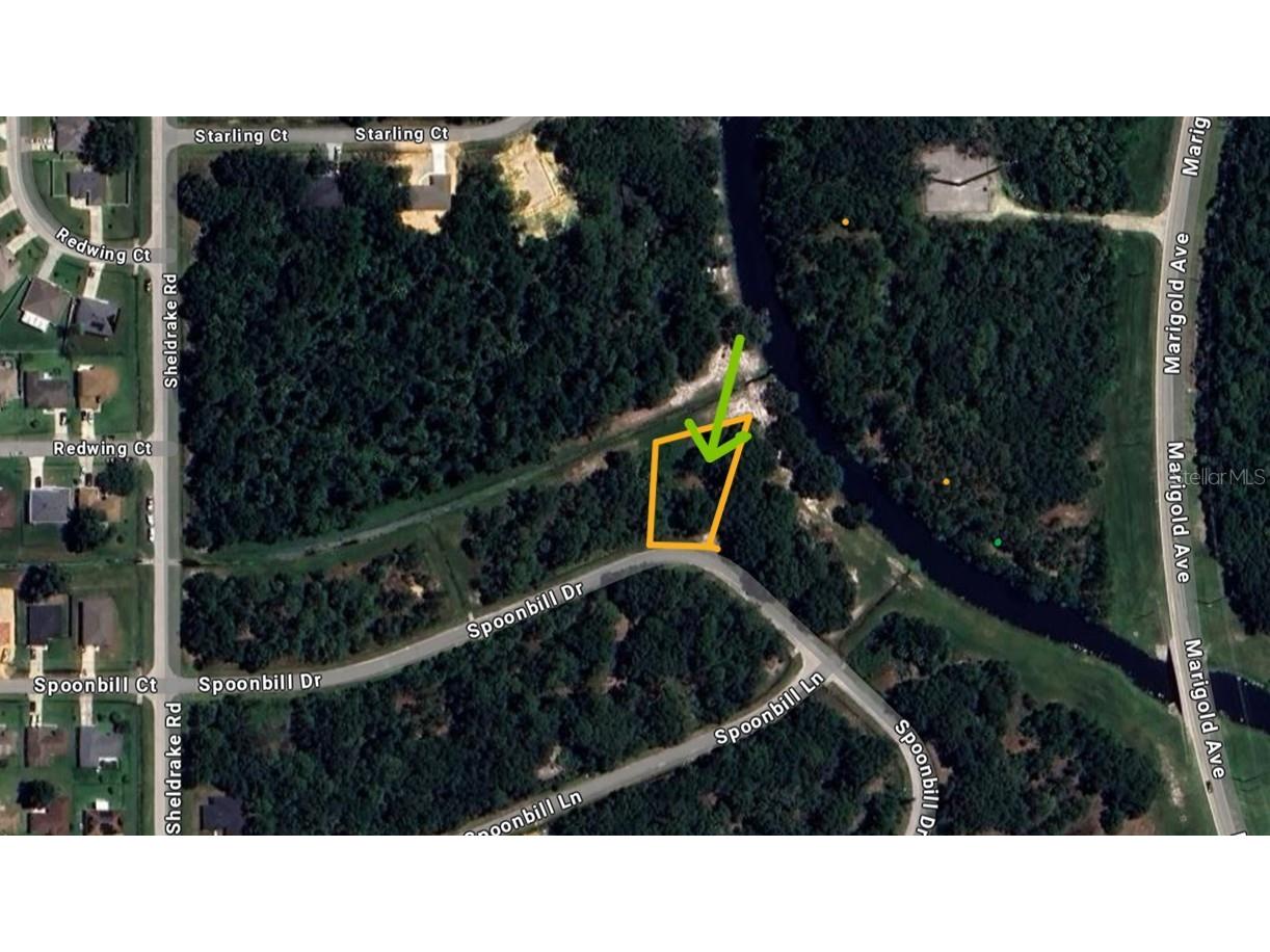 268 Spoonbill Drive Kissimmee FL 34759 S5122924 image2