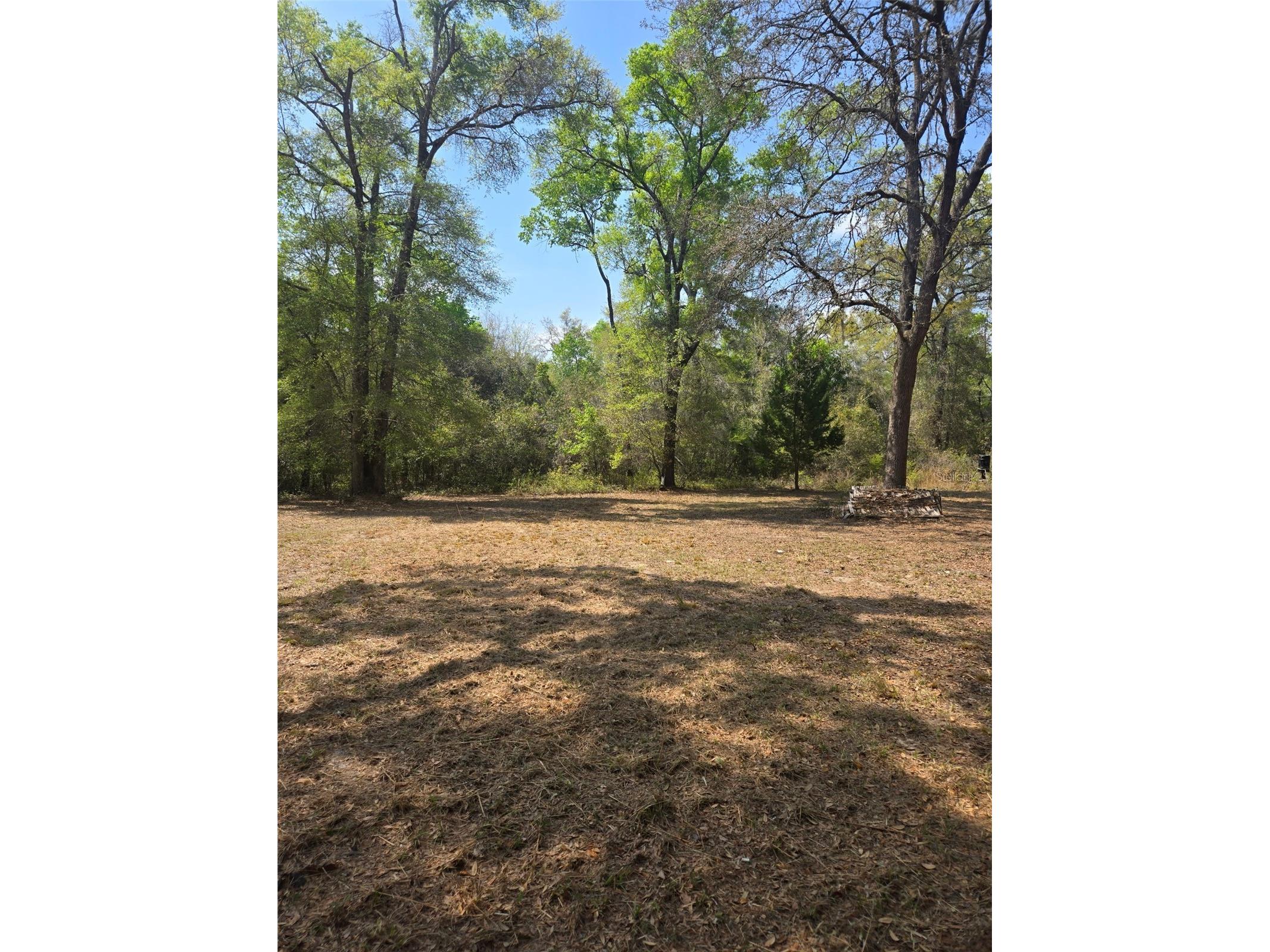 268 SW Luke Place Fort White FL 32038 OM720790 image4