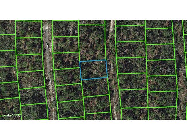 268 Sunnyside Drive Lake Placid FL 33852 OM542060 image1