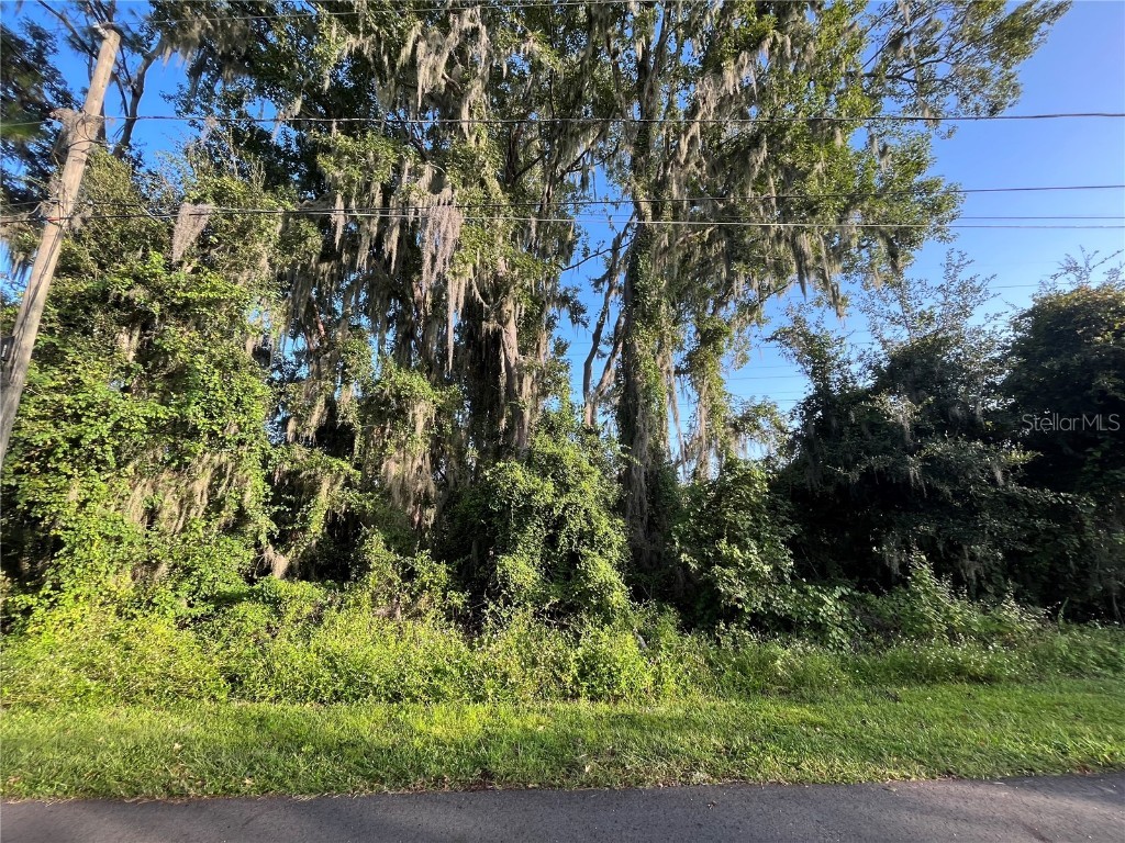 268 Toms Road Debary FL 32713 OK225405 image2